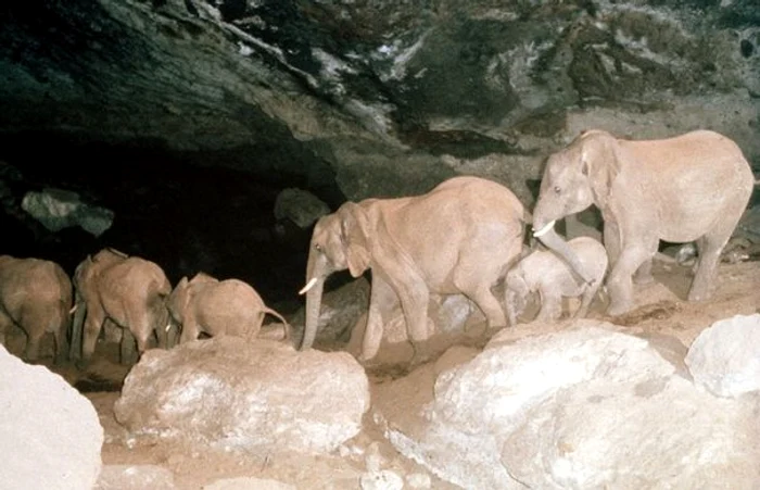 Kitum Cave. FOTO atlasobscura.com
