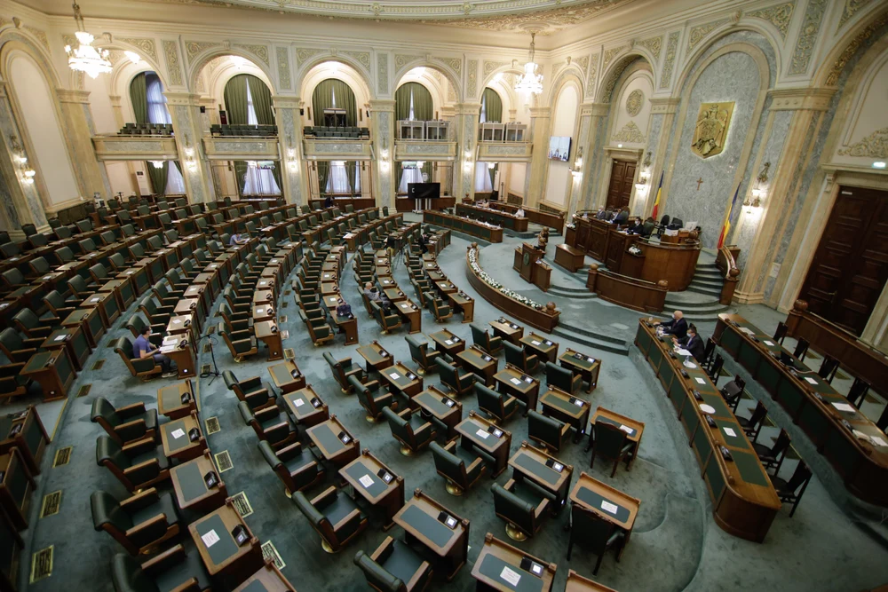 Afirmații conspiraționiste și cu tentă rasistă, în plenul Senatului: „Populația e forțată să se adapteze culturii migranților”