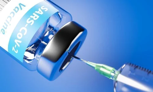 1 shutterstock 1736168798 jpg jpeg