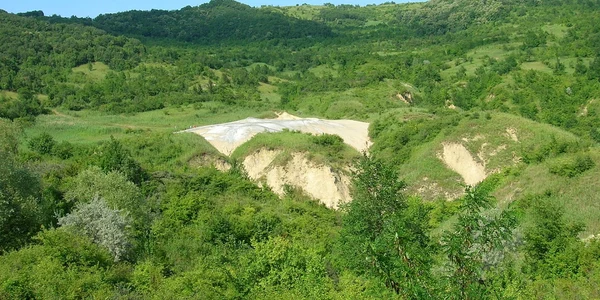 buzau