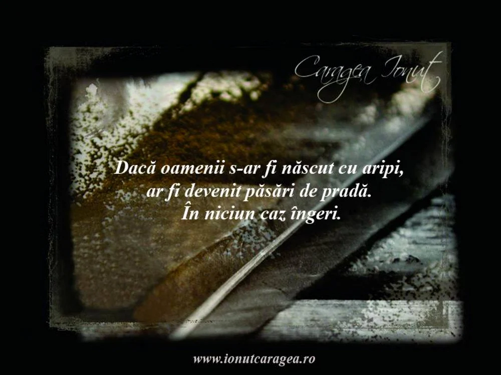 ionut caragea