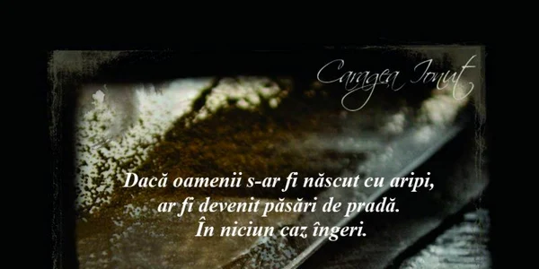 ionut caragea