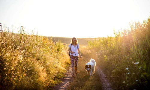 shutterstock 2294464553 jpg