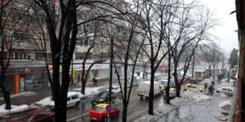 Anul trecut, pe vremea aceasta ne luptam cu iarna