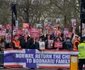 PProteste familia Bodnariu Londra
