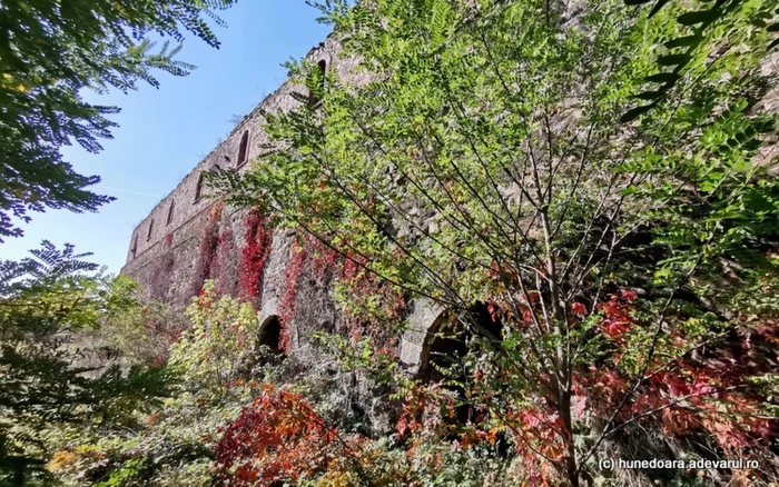 ruinele uzinei din calan foto daniel guta adevarul