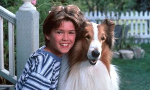Lassie2 jpeg