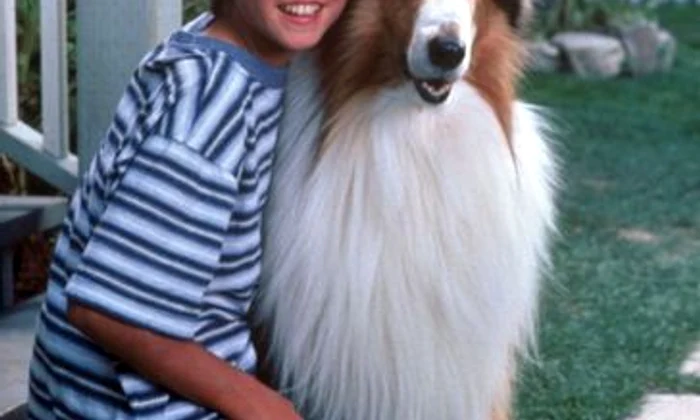 Lassie2 jpeg