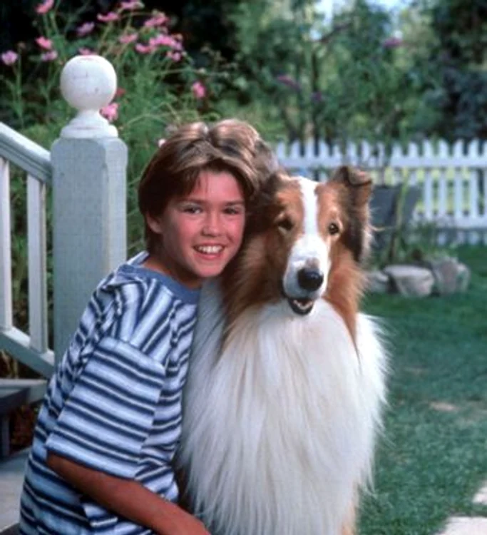 Lassie2 jpeg