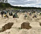 Razboi Ucraina Rusia gropi noi in cimitirul din Irpin 17 mai 2022 FOTO EPA-EFE