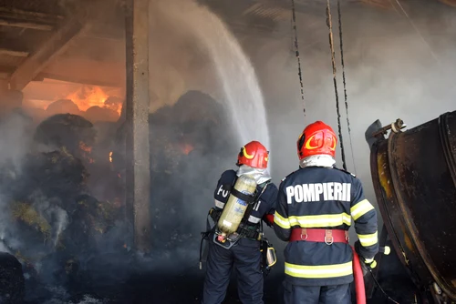 Incendiu devastator la ferma companiei Diana din Vâlcea Foto ISU Vâlcea jpg