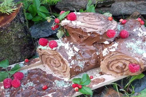 tort buturuga jpeg