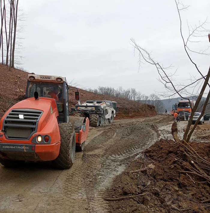 Pregătirea șantierului la tunelurile pentru urși FOTO DRDP Timișoara