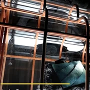 geanta adn dinozaur caprura nexus News Global png