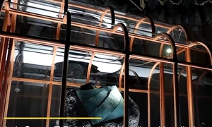 geanta adn dinozaur caprura nexus News Global png