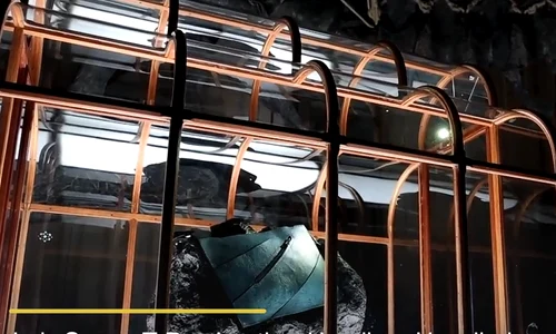 geanta adn dinozaur caprura nexus News Global png