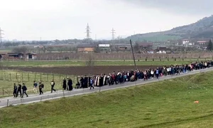 pelerinajnicula jpg