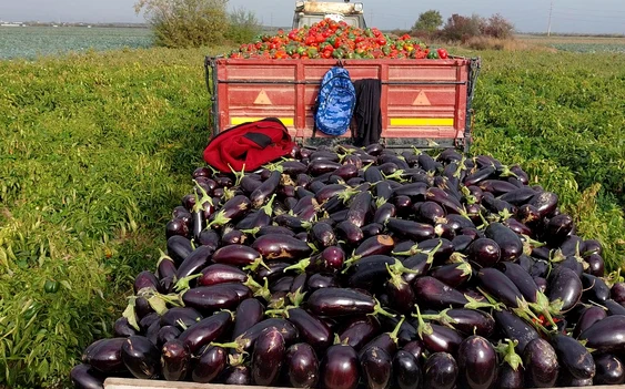 Terenurile agricole, în pericol