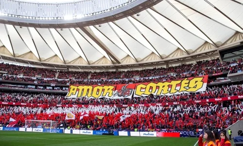 atletico madrid fani jpeg