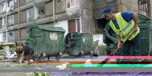 Mulţi locuitori ai Devei aruncă gunoiul pe unde apucă