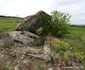 Aici a fost combinatul Victoria Călan Foto Daniel Guță ADEVĂRUL (5) JPG