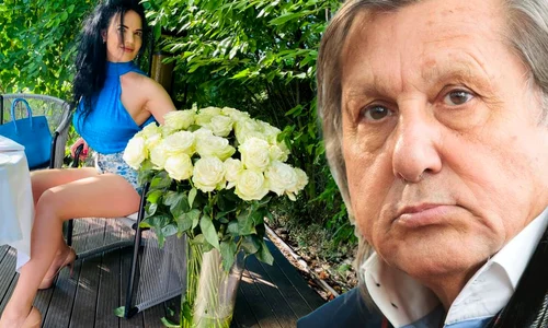 banner ioana nastase png