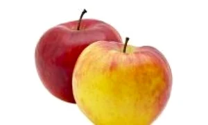 1 2 jpg jpeg