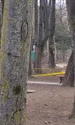 politist sinucidere parc copou iasi jpg