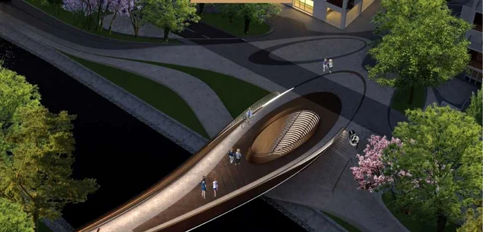 Proiect pod şi pasarelă peste Bega
