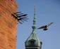 varsovia foto lucian muntean 33 JPG