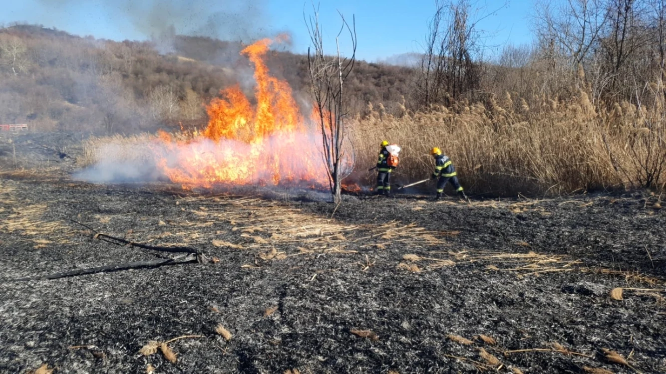 Incendiul se manifestă în imediata apropiere a unor vagoane pline cu benzină FOTO ISU Arhivă