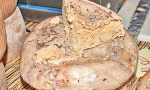 branza casu marzu jpg