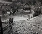 Muntii Apuseni Foto Viorel Simionescu (18) jpg