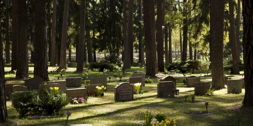 cimitir suedia/ FOTO:watchingtheswedes.com