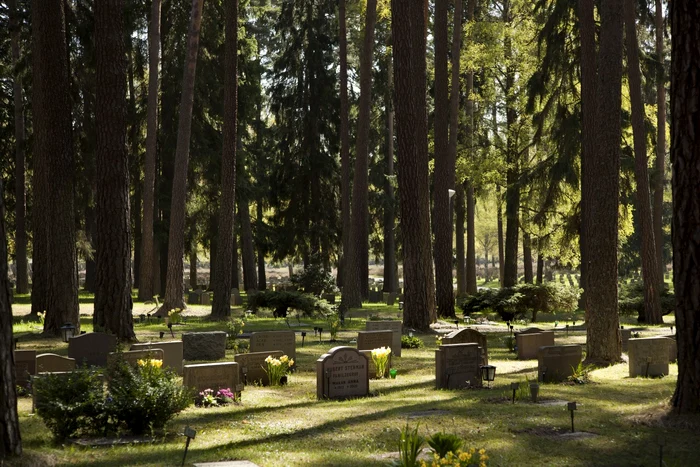 cimitir suedia/ FOTO:watchingtheswedes.com