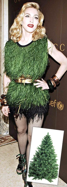 Lady Gaga s-a îmbrăcat  ca un pom de Crăciun şi îl  aşteaptă cuminte pe Moşul (Fotografii: reuters)