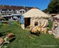 Festival medieval la castelul Corvinilor Foto Daniel guță (6) jpg