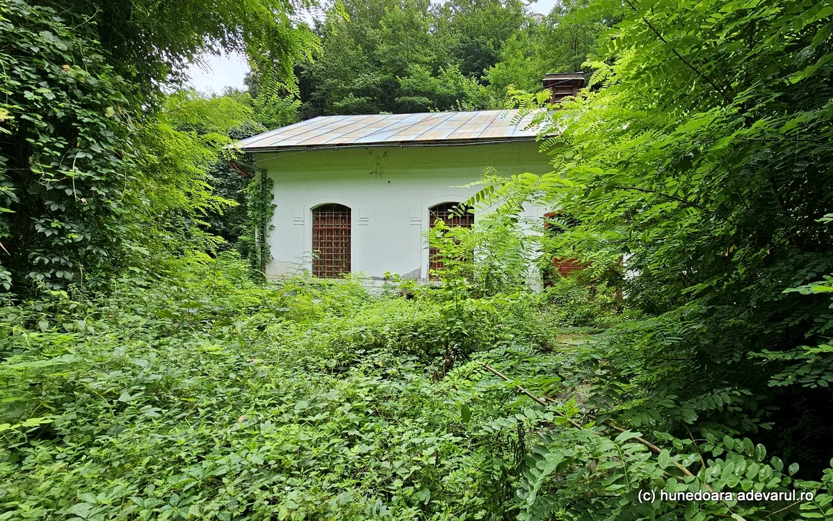 Clădirea istorică este sufocată în prezent de vegetația luxuriantă. Foto: Daniel Guță