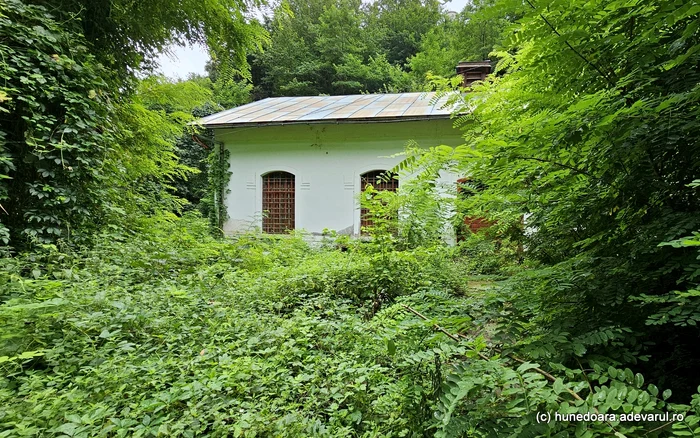 Clădirea istorică este sufocată în prezent de vegetația luxuriantă. Foto: Daniel Guță