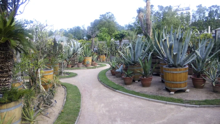 Botanica