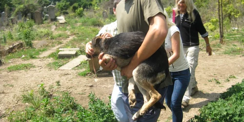 Cățelul cu bidonul pe cap a fost salvat