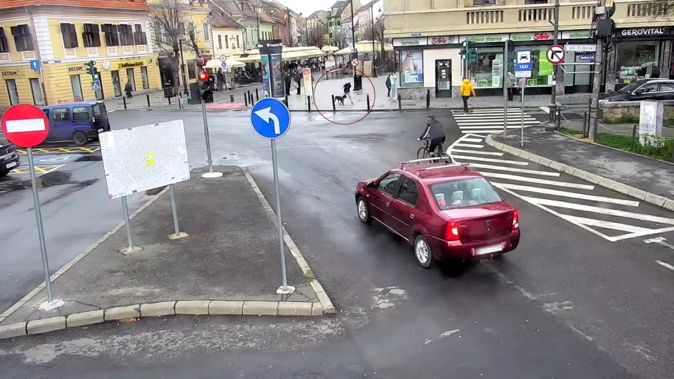 Fetiţă de 7 ani din Sibiu muşcată de un câine - întâmplarea surprinsă de camere video Foto Primăria SibiuImagine