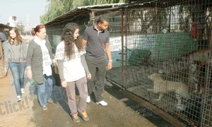 Doi dintre  norocoşii  care şi au  găsit o  familie jpeg