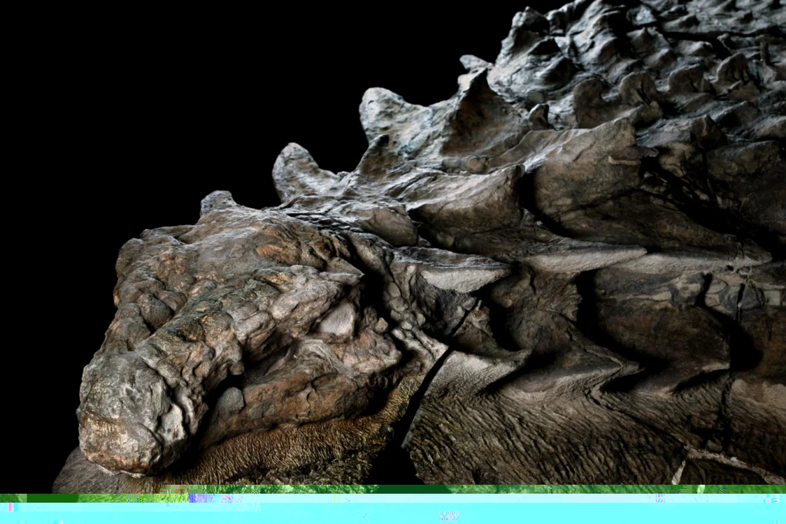 Dinozaur - nodosaur FOTO National Geographic