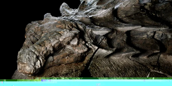 Dinozaur - nodosaur FOTO National Geographic