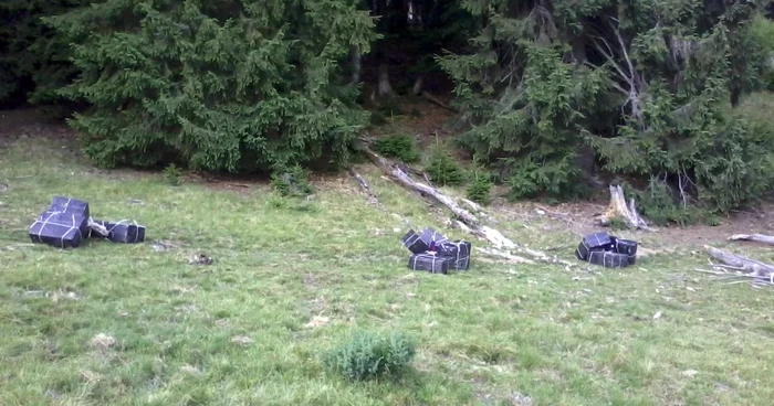 Poliţiştii de frontieră au confiscat aproximativ 5.000 de pachete de ţigări Foto: Adevărul