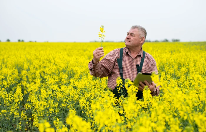 Foto: Shutterstock