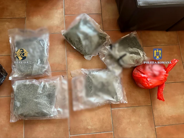 Drogurile confiscate de polițiști FOTO: DIICOT