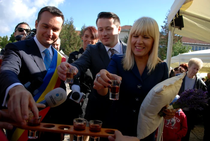 Elena Udrea a participat la deschiderea Sărbătorii Castanelor