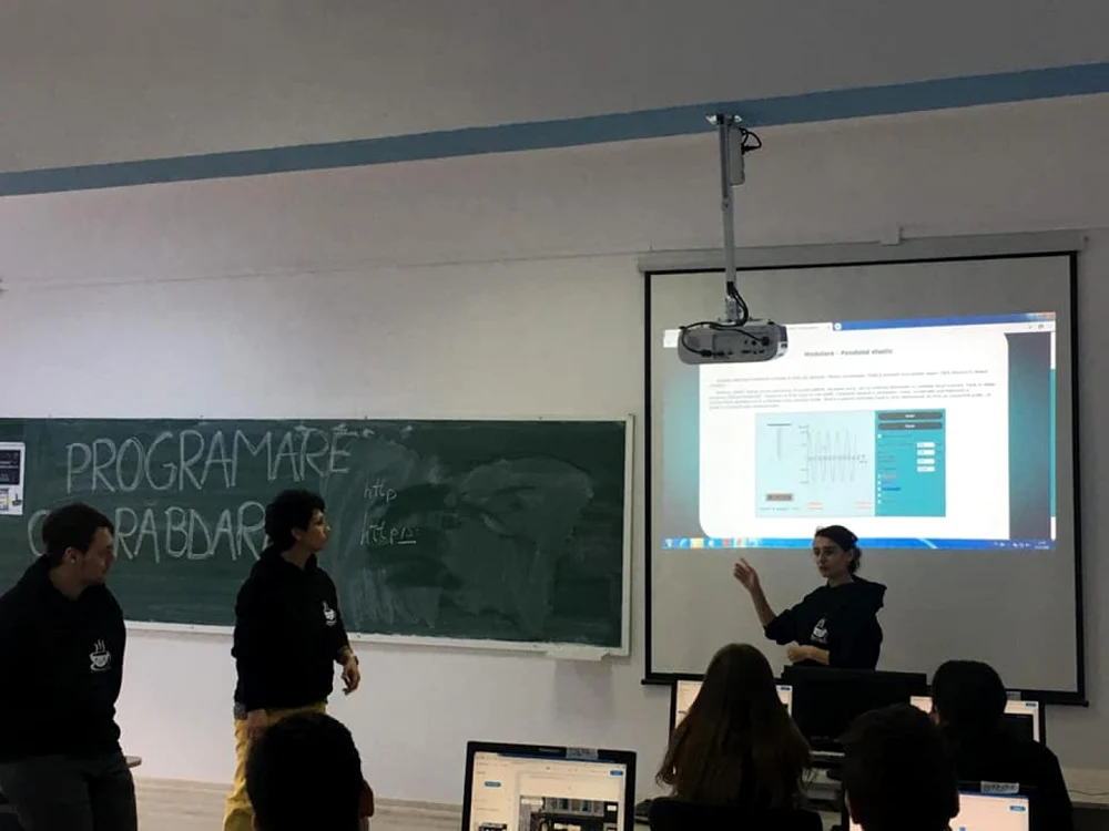 alina duca eleva lector informatica Galati  3